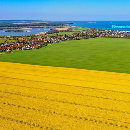 Villa Deichgraf 12 "Meerblick" Börgerende-Rethwisch Екстериор снимка